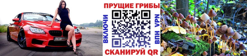 Галлюциногенные грибы MAGIC MUSHROOMS  где продают наркотики  Новокузнецк 